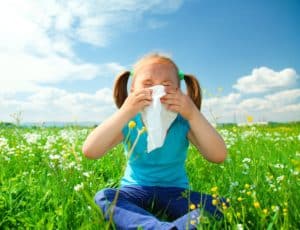 Seasonal Allergies: 4 Routes to Relief