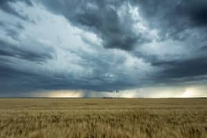 Summer Storm & Lightning Safety, What You Need to Know