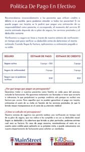 thumbnail of the spanish version of cash pay policy